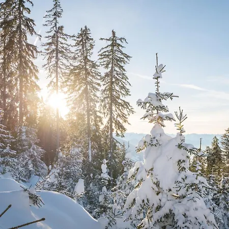 Evandi - In Ruhiger Lage Apartment Schwaz